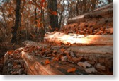 201111_0056