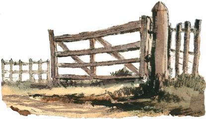 gate_new_forest